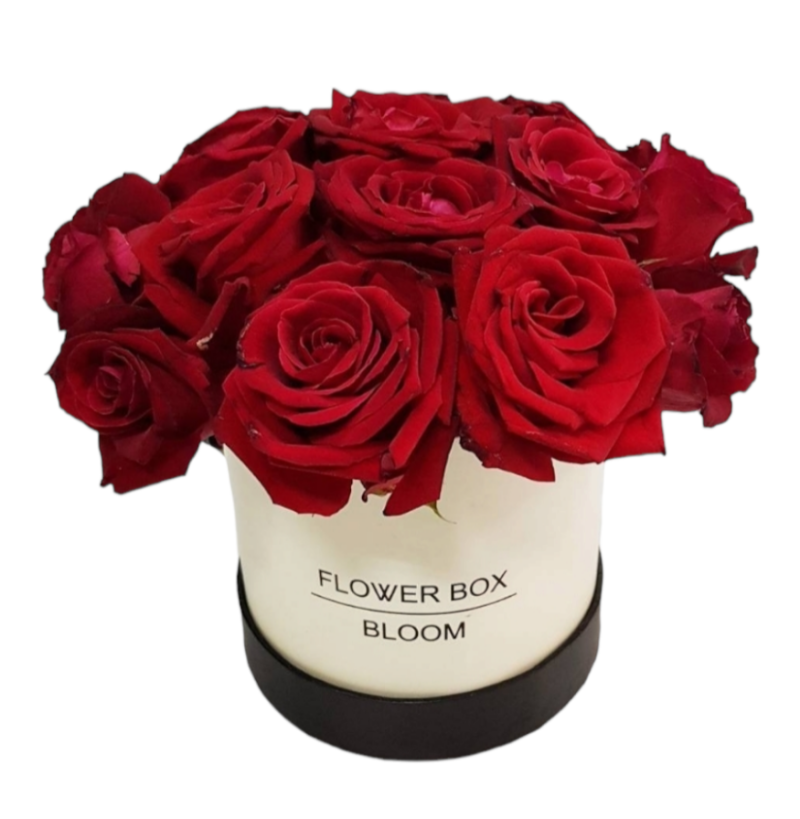 בקופסת פרחים-ורדים אדומים
