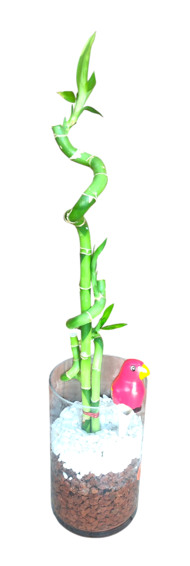 לאקי במבוק דגם - 4